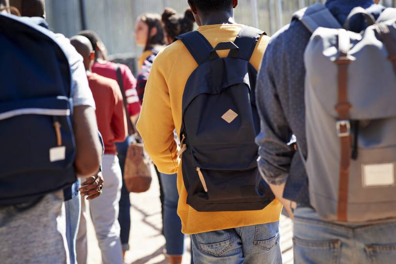 Education Programs: A Complex Web of Opportunity and Inequality